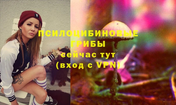 гашиш Касимов